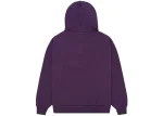 Spider Web Print Gothic Punk Hoodie-Purple